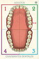 ES TheDentist Sheet Poster 170x110mm Part1 ES 3