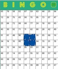 Bingo 2